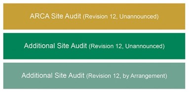 Coding to confirm type of audit